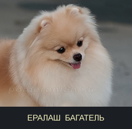 ����������� ����