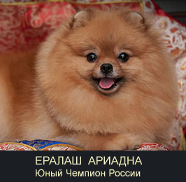���������� ����